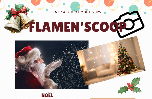 Flamen'scoop n°34.png