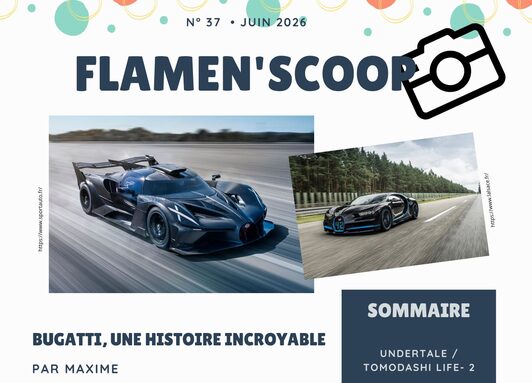 Flamen'scoop n°37.jpg